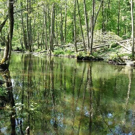 Pod Klonem * ボングリコビツェ